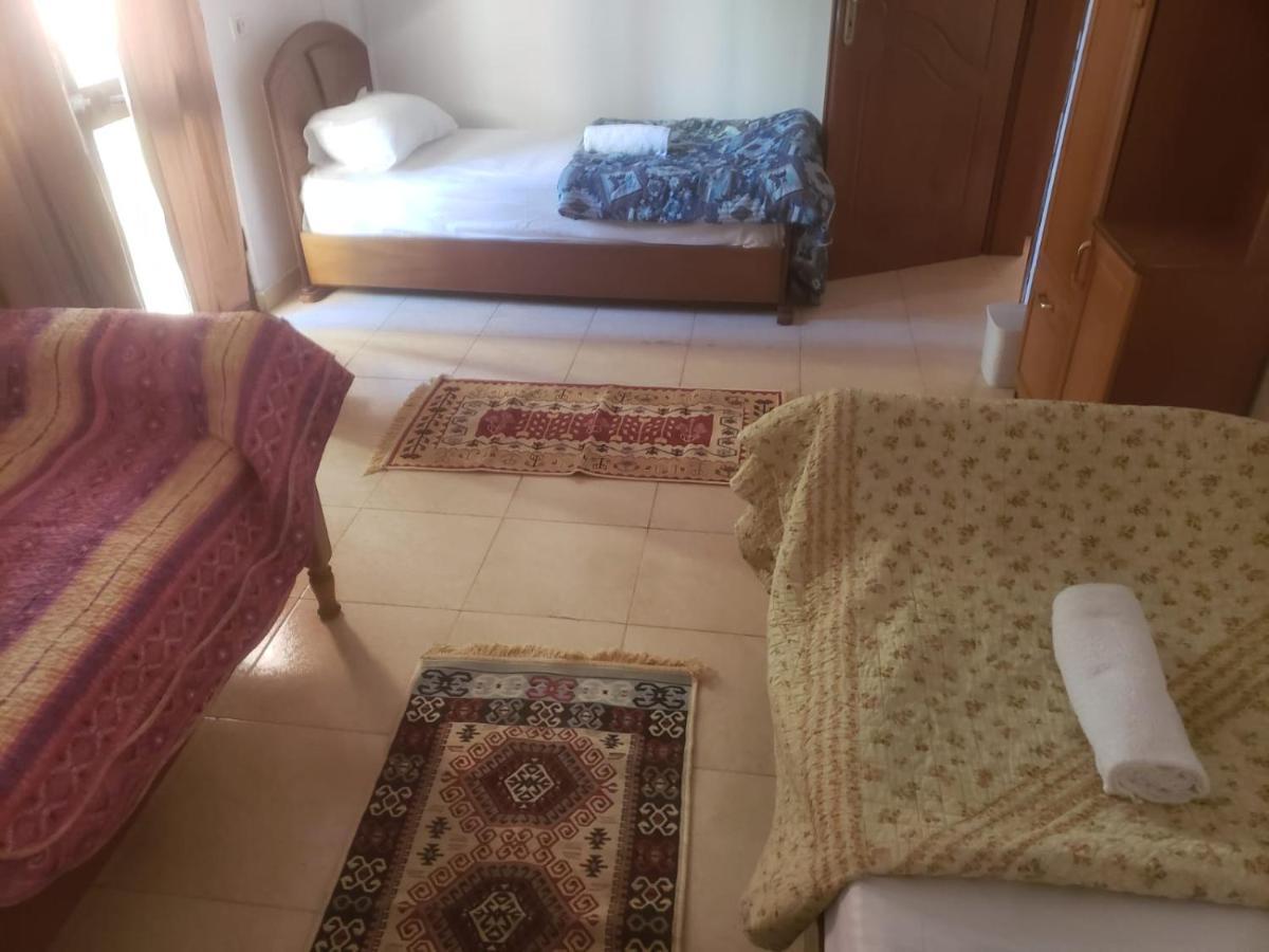 Hostel Split Rock Tirana Kültér fotó