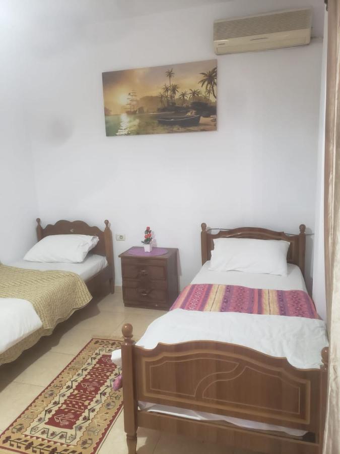 Hostel Split Rock Tirana Kültér fotó
